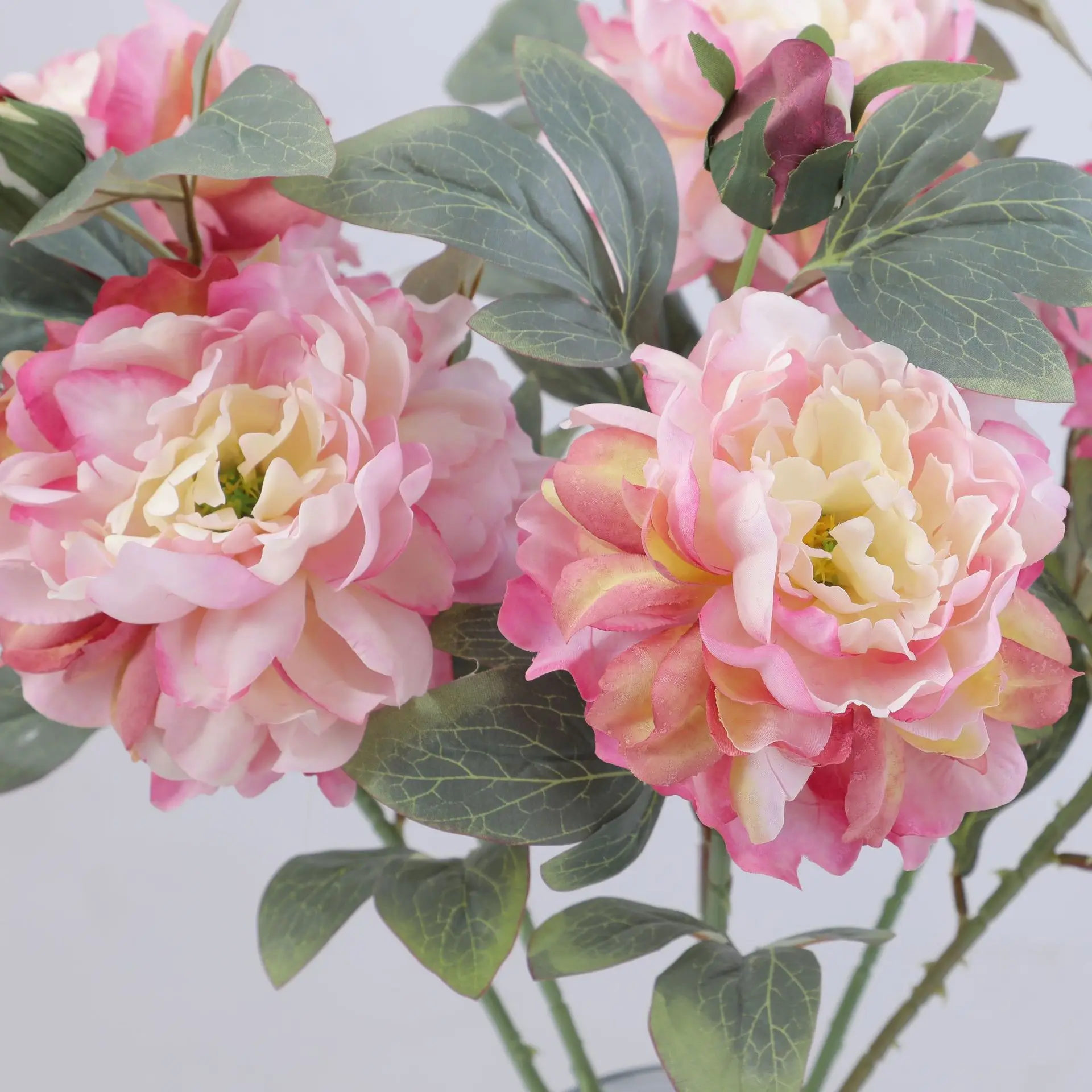 Artificial Peony Flower Single – Flower Wall Panel Bewertung und Preis