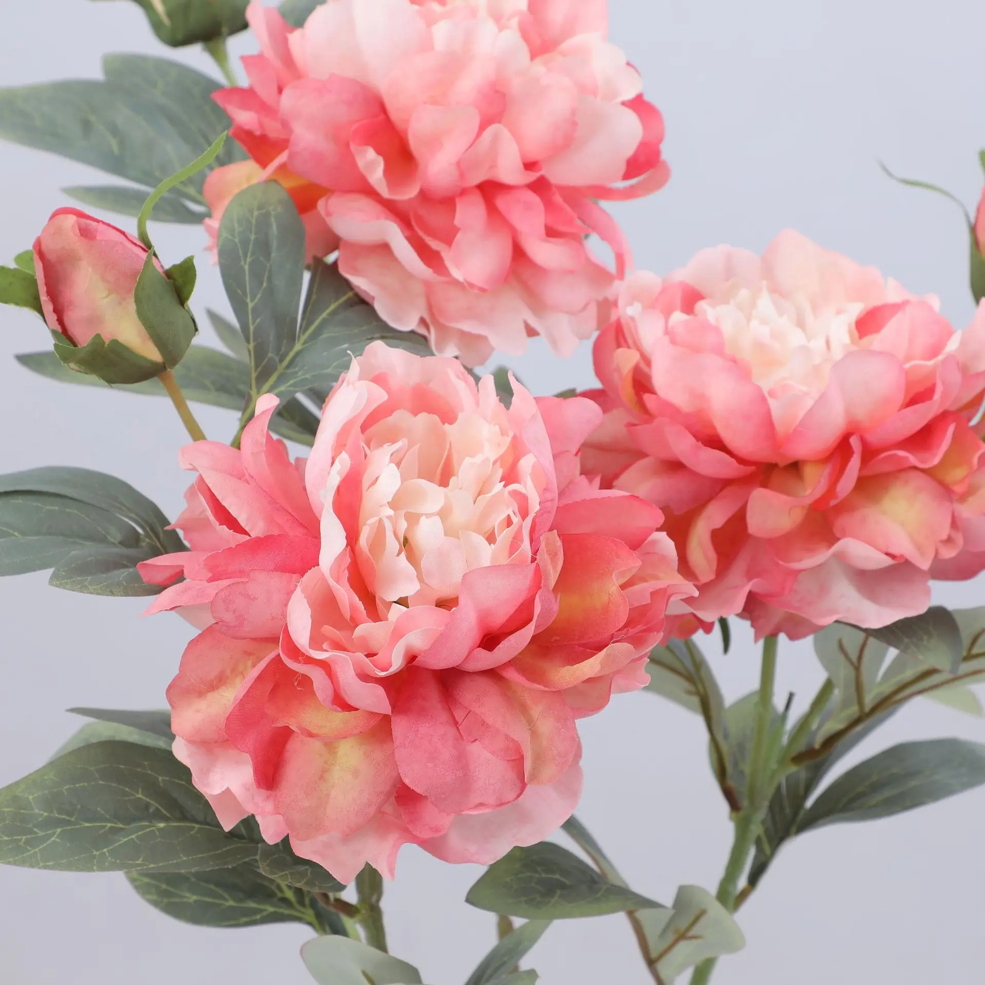 Artificial Peony Flower Single – Flower Wall Panel Bewertung und Preis