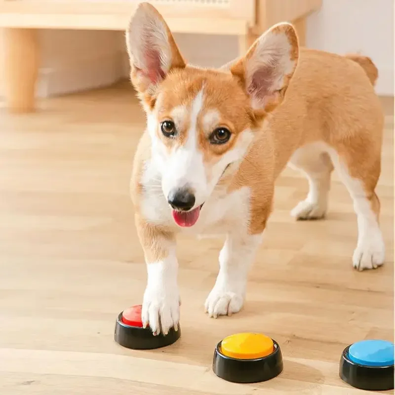 2026 Recordable Talking Pet Bu – Event Party Box Bewertung und Preis