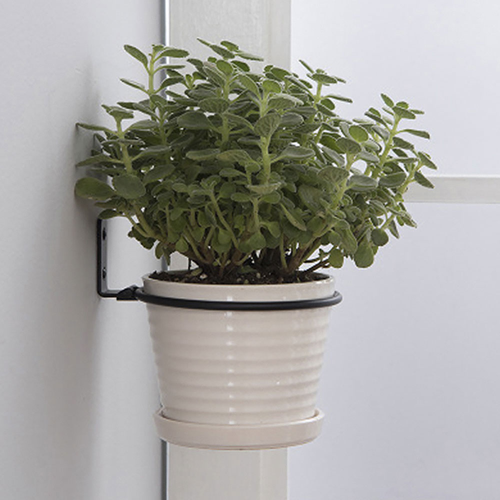 Flower Pot Trays Wall Mounted  – Flower Wall Panel Bewertung und Preis